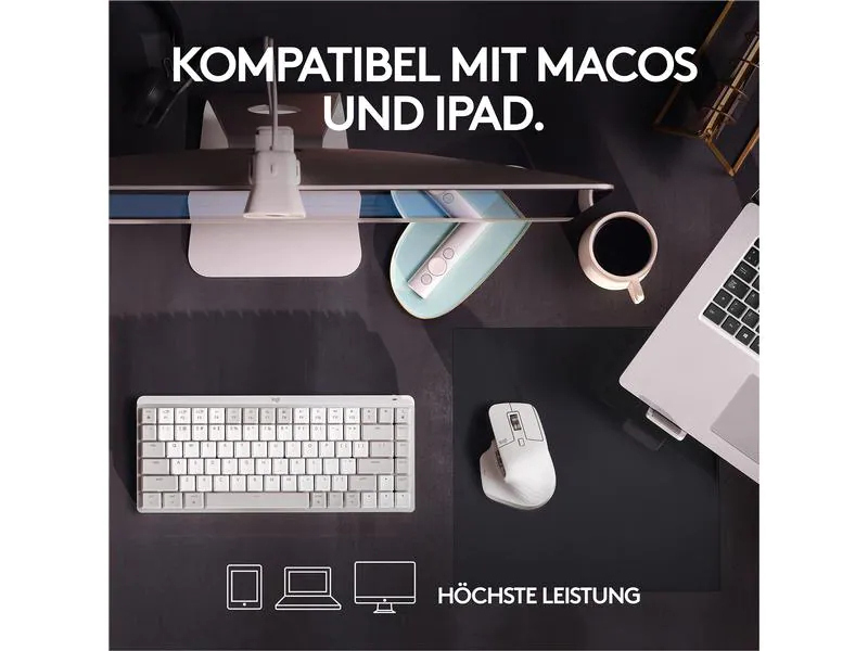 Logitech Maus MX Master 3S for Mac pale grey