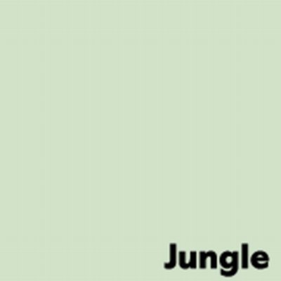 Kopierpapier Farbig IMAGE COLORACTION | jungle/hellgrün | A4 | 80g Preprint-/Offsetpapier, farbig, holzfrei, matt