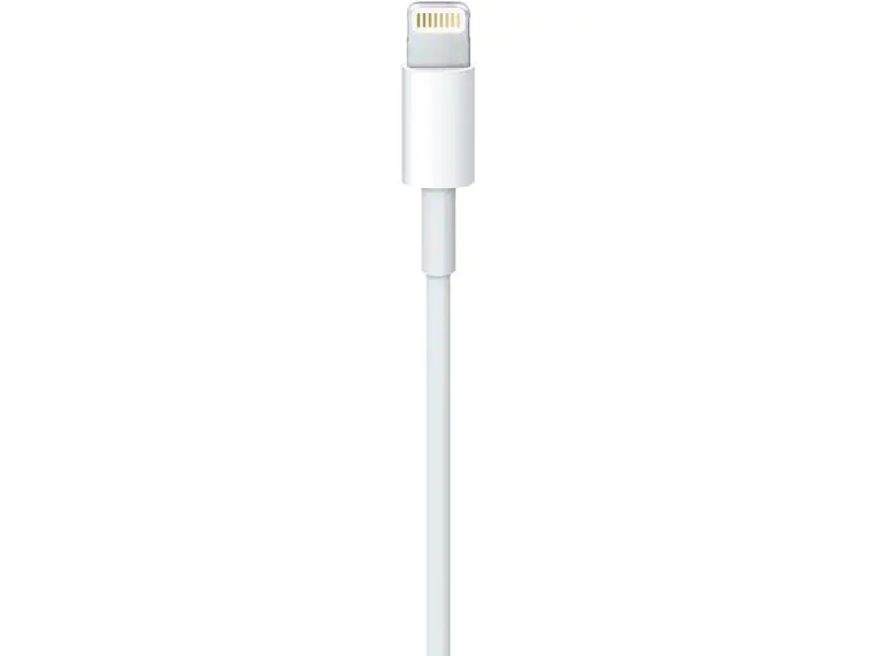 Lightning to USB cable (0.5 m)