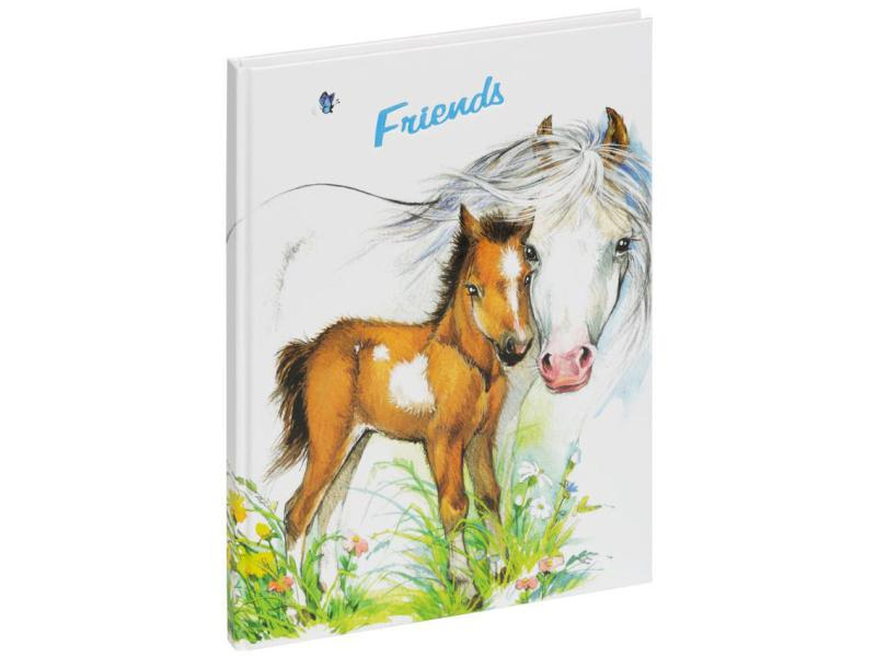 Pagna Freundebuch Süsses Fohlen, Motiv: Fohlen, Medienformat: 150 x 220 mm, Farbe: Mehrfarbig, Altersgruppe: Kinder