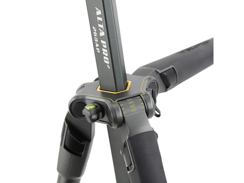 Vanguard Stativ Alta Pro 2+ 263CB 10, Höhenverstellbar: Ja, Farbe: Grau, Material: Carbon, Stativ-Bauart: Dreibeinstativ, Stativgewinde: 1/4", 3/8'', Stativ-Ausstattung: Tasche, Kugelkopf, Schnellwechselplatte, Stativgewinde