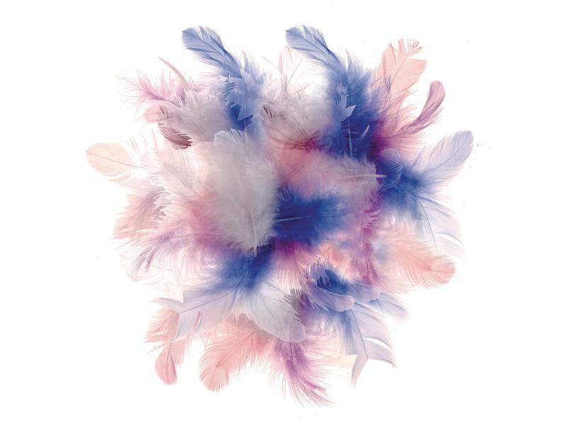 Glorex Federn Deco Blau/Pink/Weiss, Packungsgrösse: 10 g, Farbe: Blau, Weiss, Pink