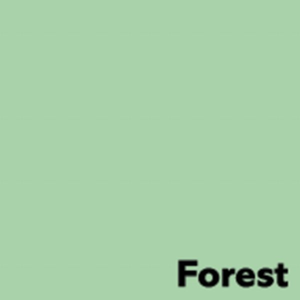Kopierpapier Farbig Image Coloraction | Forest/Grün | A3 | 160g Preprint-/Offsetpapier, farbig, holzfrei, matt