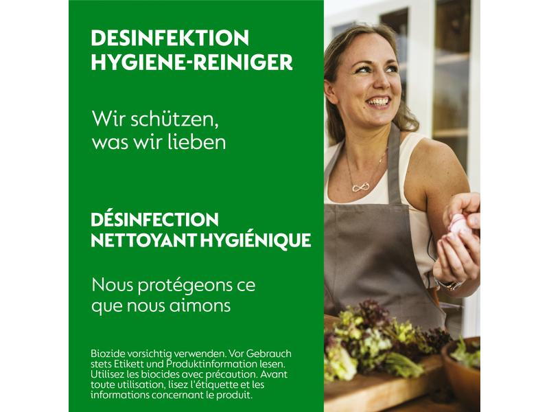 Dettol Desinfektion Hygiene-Reiniger Limetten- & Minze 750 ml