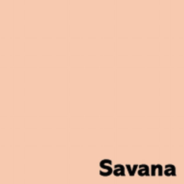 Kopierpapier Farbig Image Coloraction | Savana/salm | A4 | 80g Helle Farben | Preprint-/Offsetpapier, farbig, holzfrei, matt