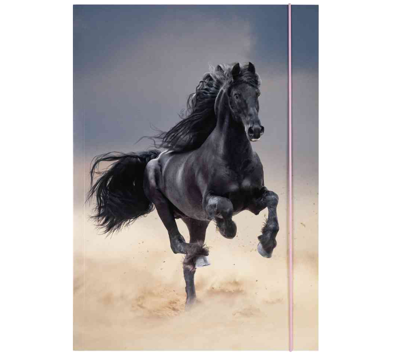 folia Zeichnungsmappe BASIC "Black Horse", Karton, DIN A3