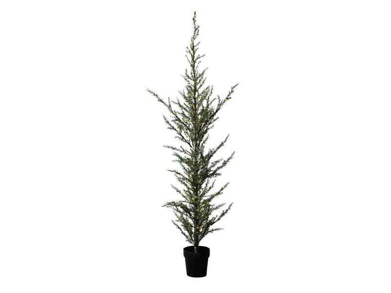 Sirius Weihnachtsbaum Milas, 180 cm, 180 LEDs, Grün, Höhe: 180 cm, Durchmesser: 0 cm, Beleuchtung: Ja, Aussenanwendung: Ja, Detailfarbe: Grün