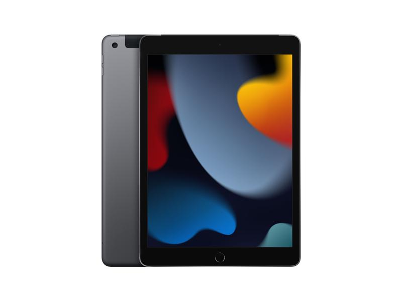 iPad 10.2-inch Wi-Fi + Cellular 64 GB Space Gray 9. Gen.