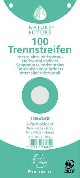 EXACOMPTA Trennstreifen Premium, 105 x 240 mm, grau