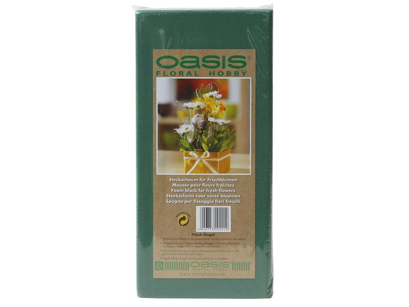 Oasis Steckschaum Frisch Ziegel 23 x 11 x 8 cm für Frischblumen, Farbe: Grün