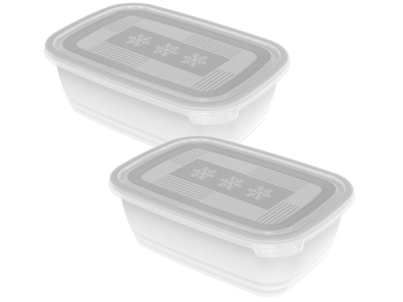 Rotho Vorratsbehälter Set Freeze 2 x 1.9 l, Transparent, Produkttyp: Vorratsbehälter, Farbe: Transparent, Form: Rechteck, Material: Kunststoff, BPA-Frei, Verschluss: Deckel, Set: Ja